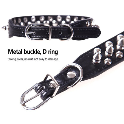 Spiked & Studded Leather Dog Collar