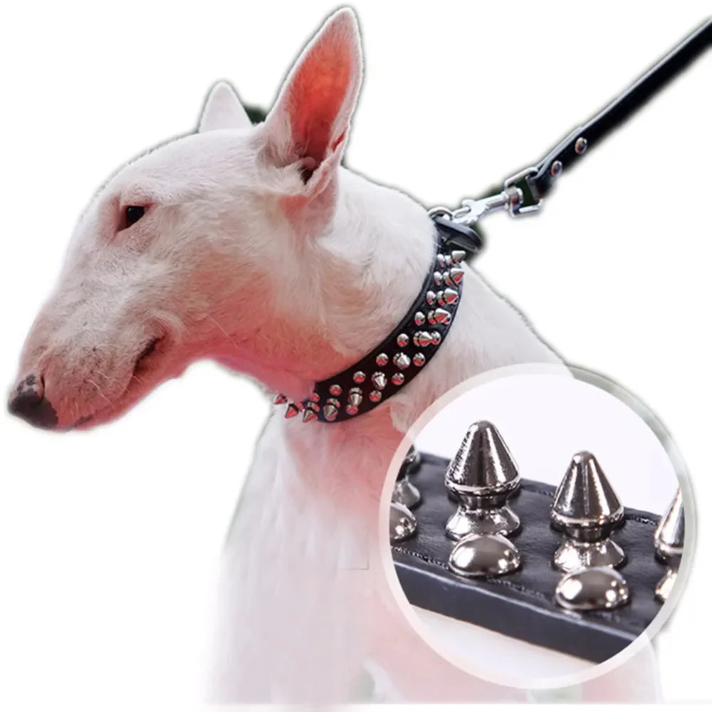 Spiked & Studded Leather Dog Collar